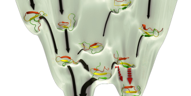 protein-Folding-Image protein-Folding-Image